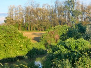 Valorizzazione del Parco Sovracomunale del Po e del Morbasco
