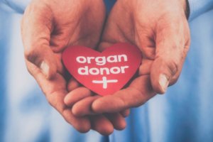 Donare gli organi. Una scelta in Comune