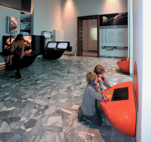 Percorso ludico-didattico al Museo del Violino