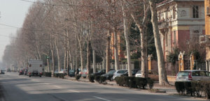 Viale Po