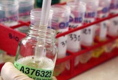 IBJJF annuncia controlli antidoping ai Mondiali No-Gi 12