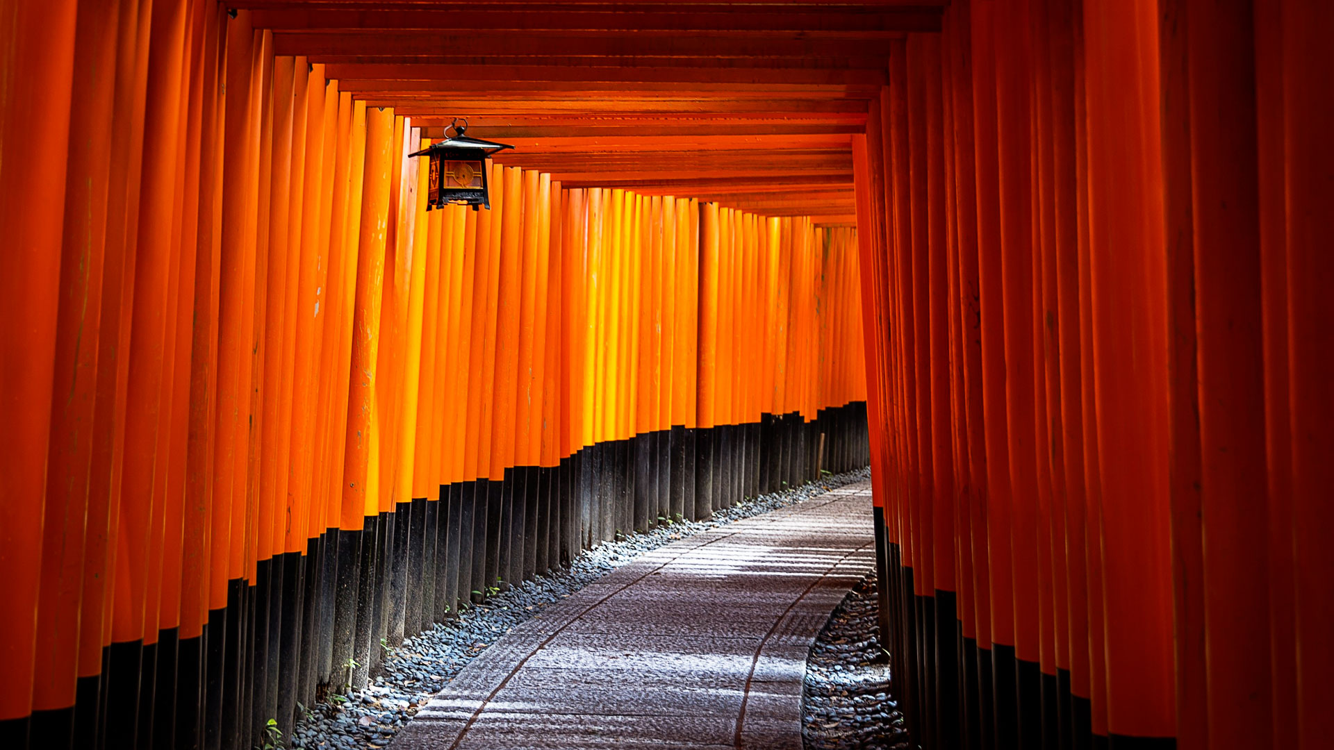 Comment Cyrille a appris le japonais Blog de Glossika