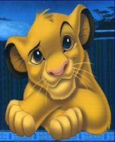 Simba Nursery