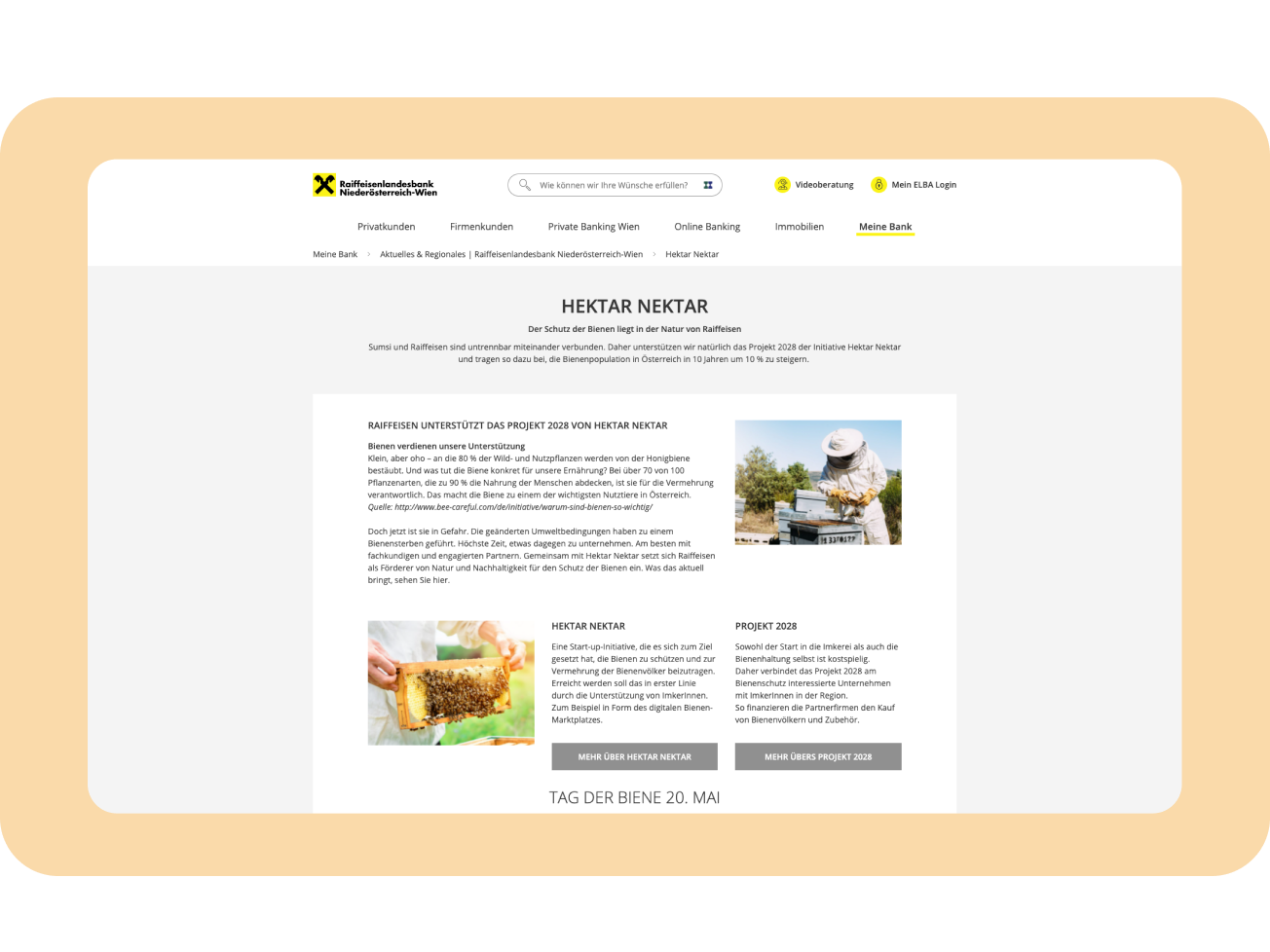 Landingpage als Informationsträger
