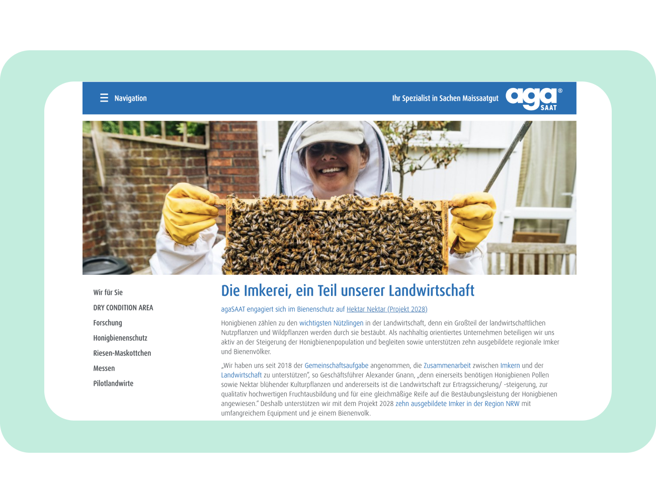 Rund-um-Information über Website