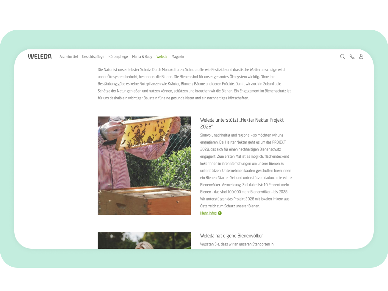 Landingpage für den Bienenschutz
