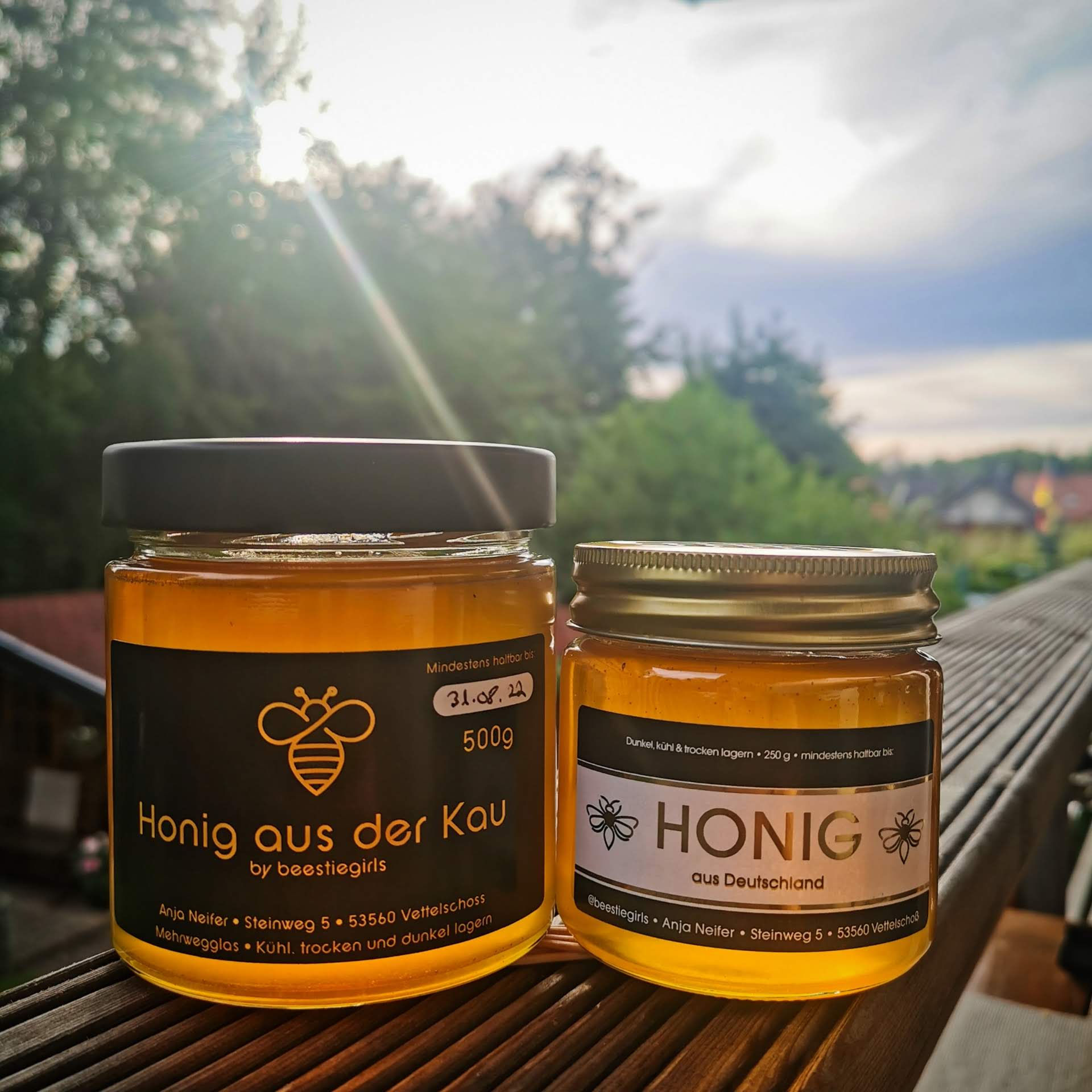 Meine erste Honigernte