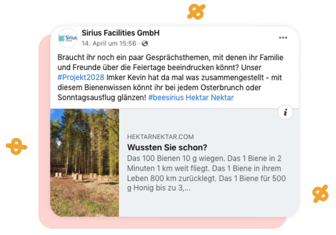 #beesirius: Impactstarker Social Media-Auftritt