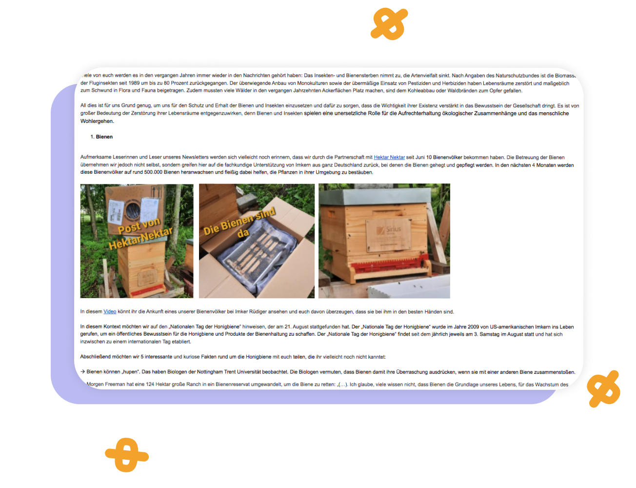 Newsletter mit Wirkung
