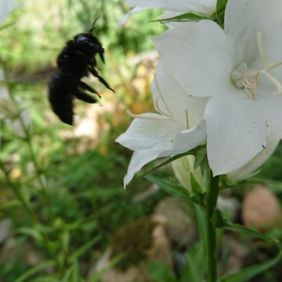 Dsc 0574