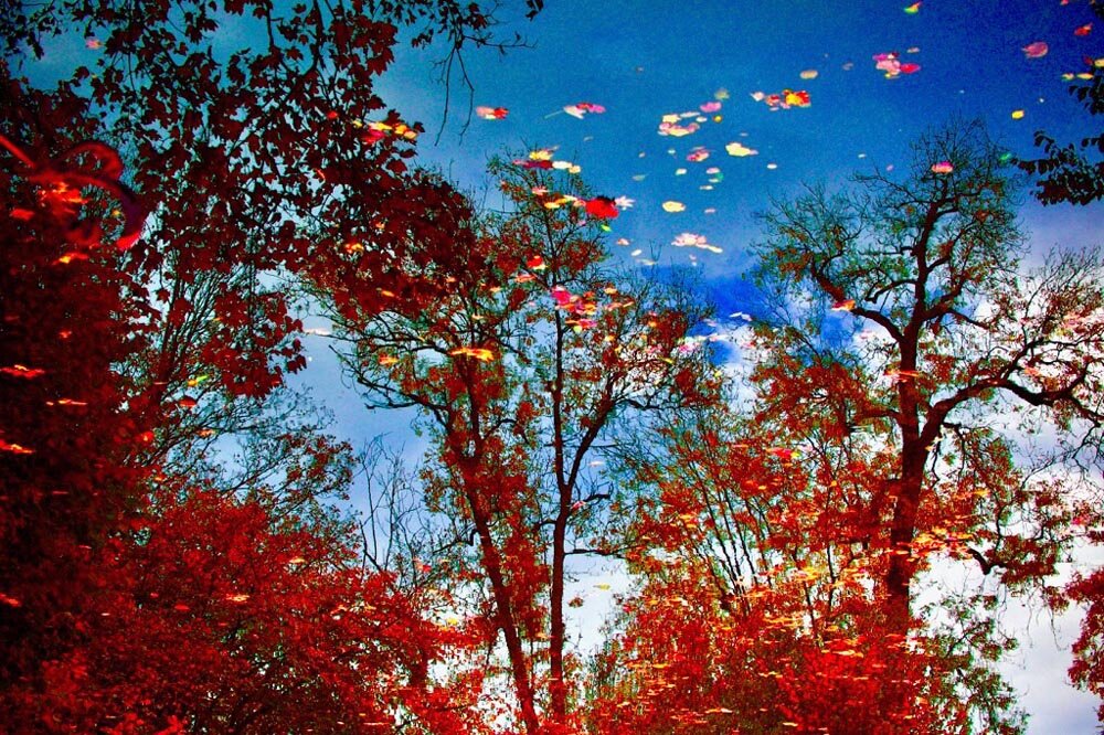 Gundula Schulze Eldowy, Chacalón 2018