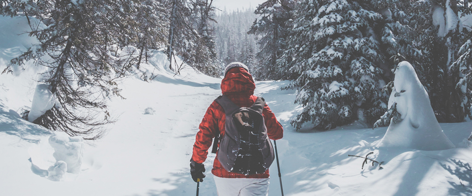 Outdoor winter sports – and how you can train for them at the club