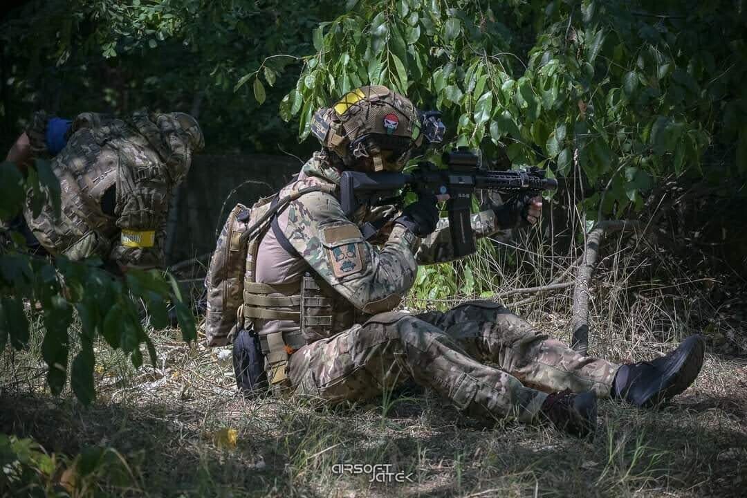 inbound8748871871857542656