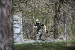 inbound3017168006120349757