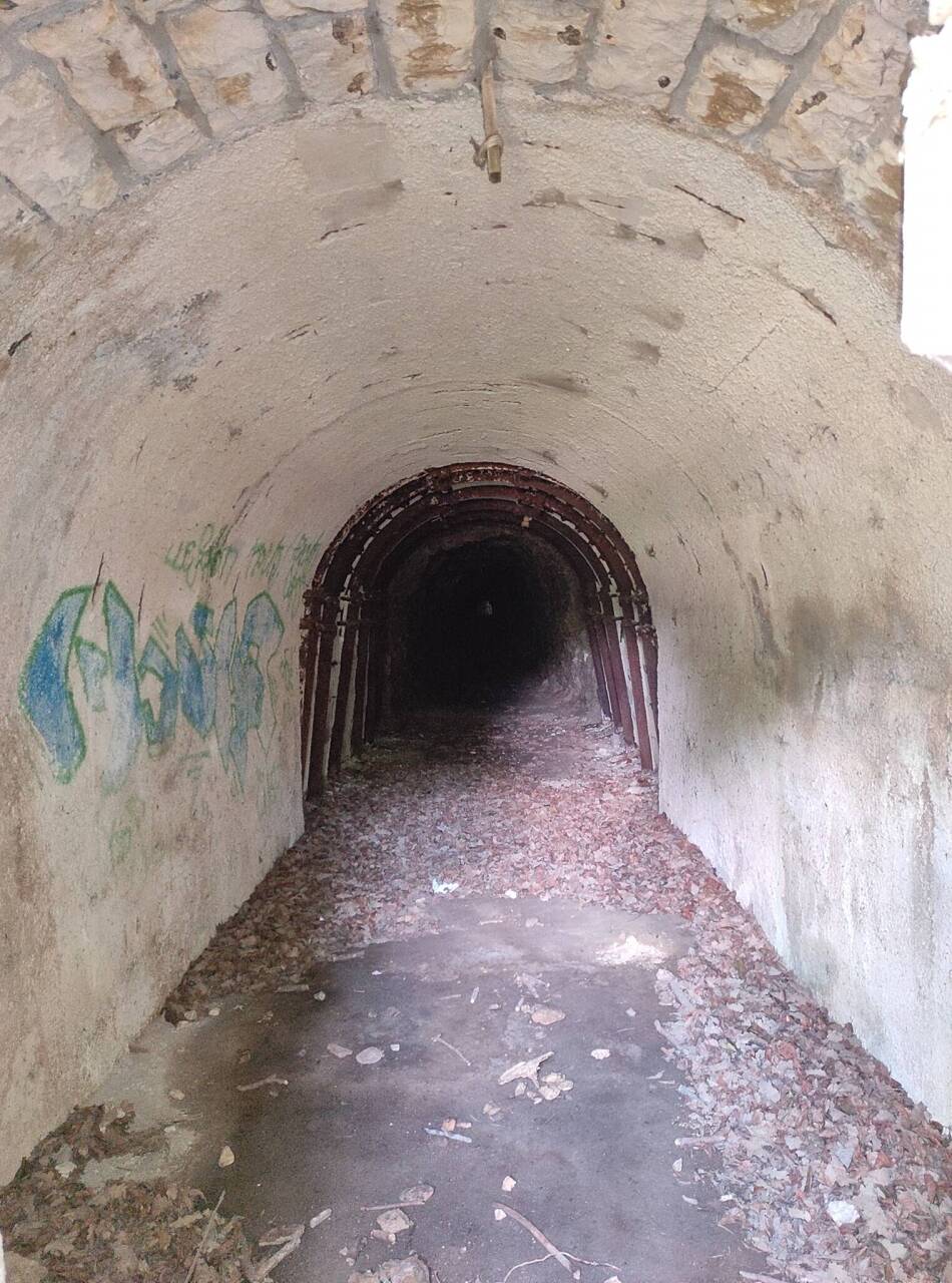 110211937_3300290850033746_8967044236606400291_n