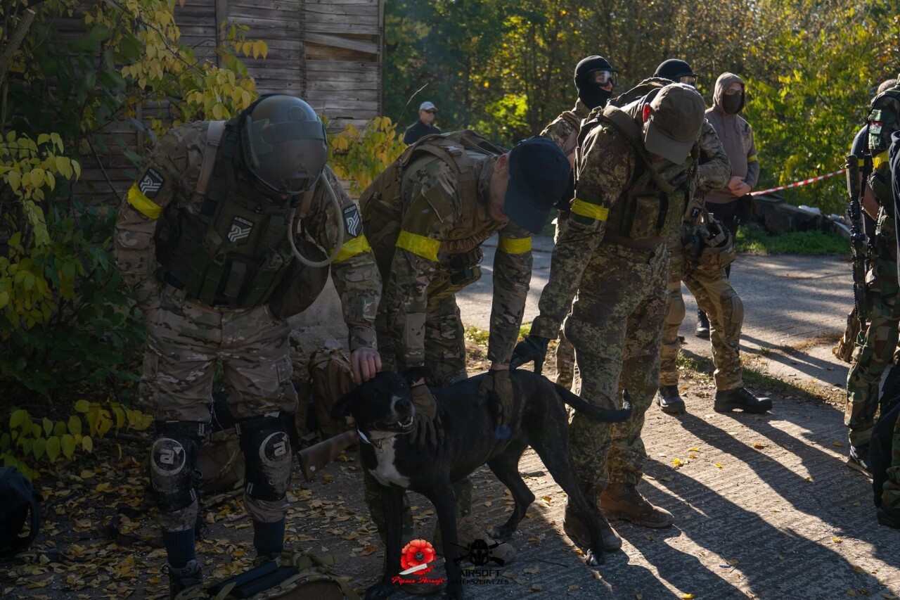 E290AD49-D711-4776-B06D-BC0B2050B5EA