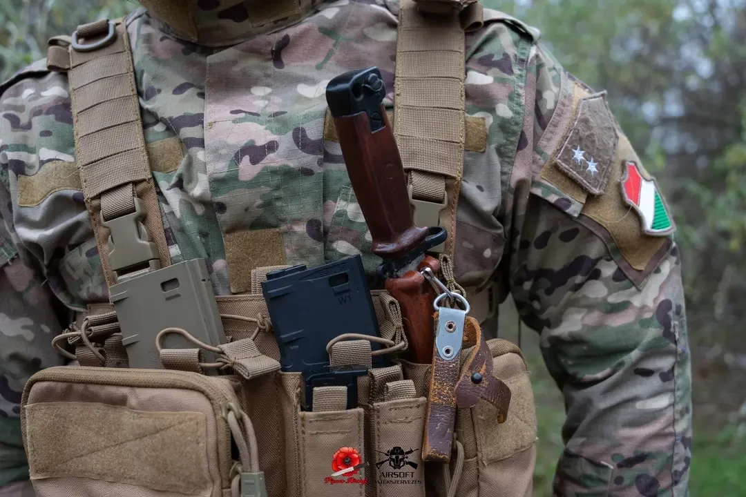 img_17_1731384446529