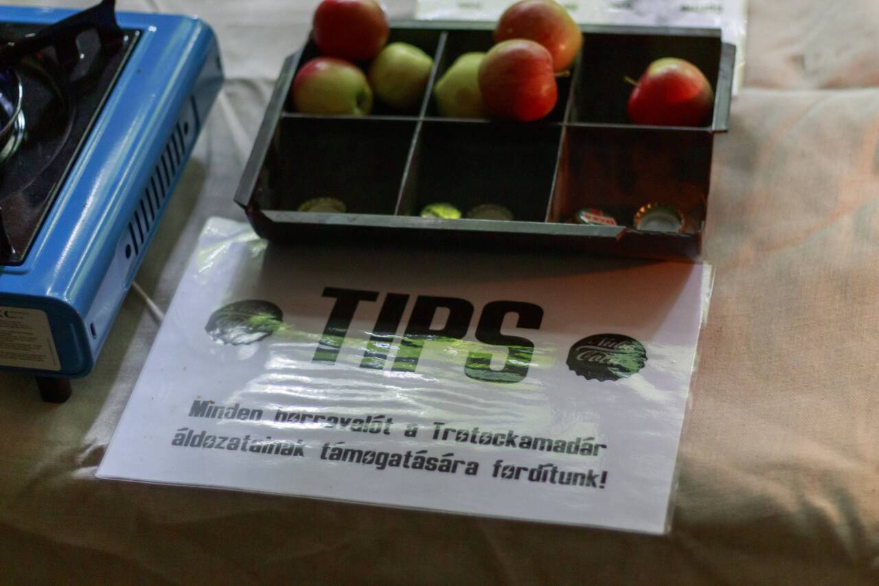 Fallout_2019 22-05-12