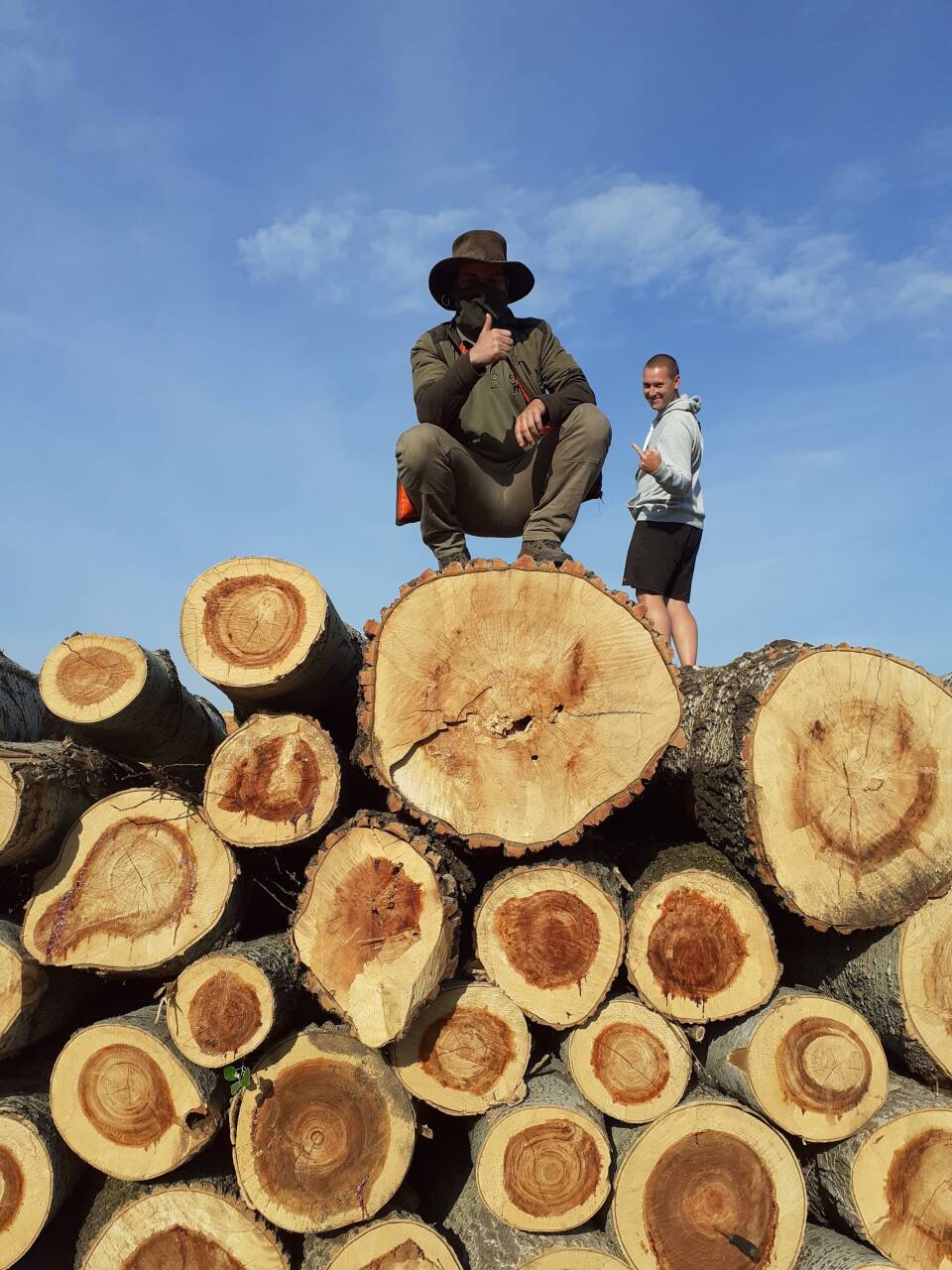 inbound3608703937036003633