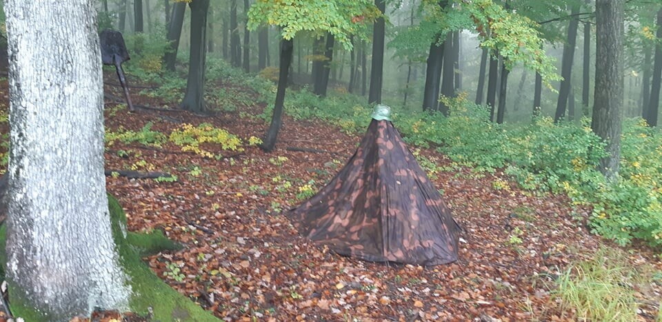 received_412402273475210