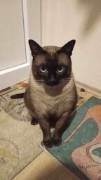 received_907525294211158