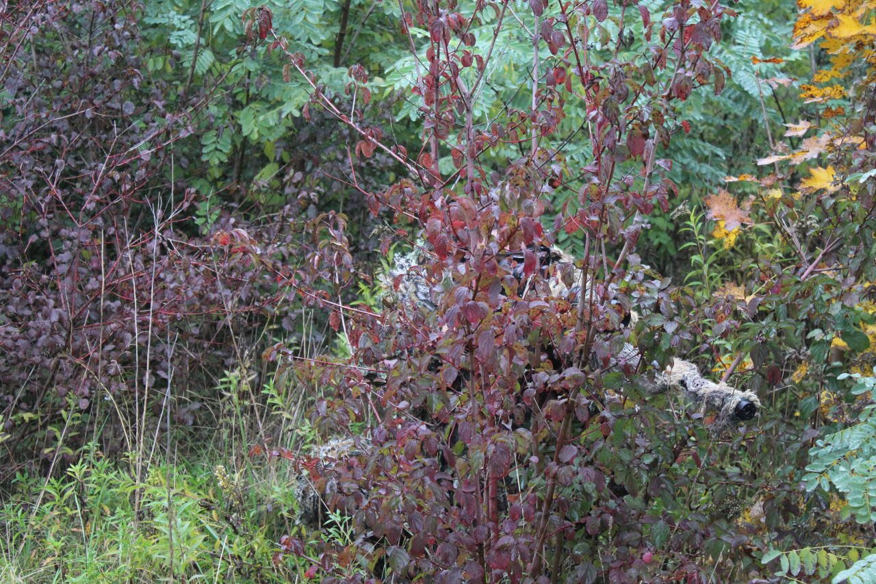 Kinai sniper 😄 22-05-14