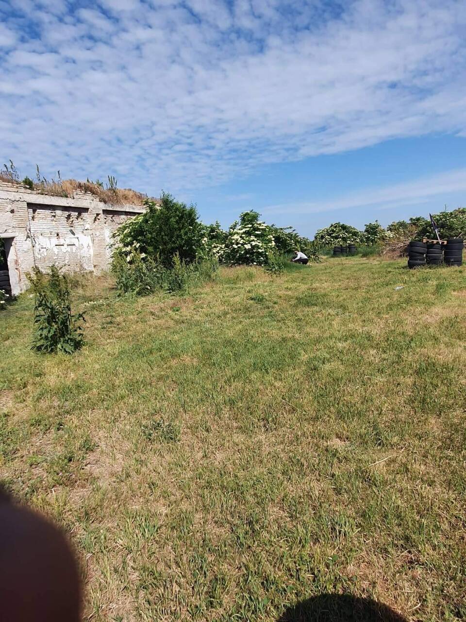 received_1922746531447253