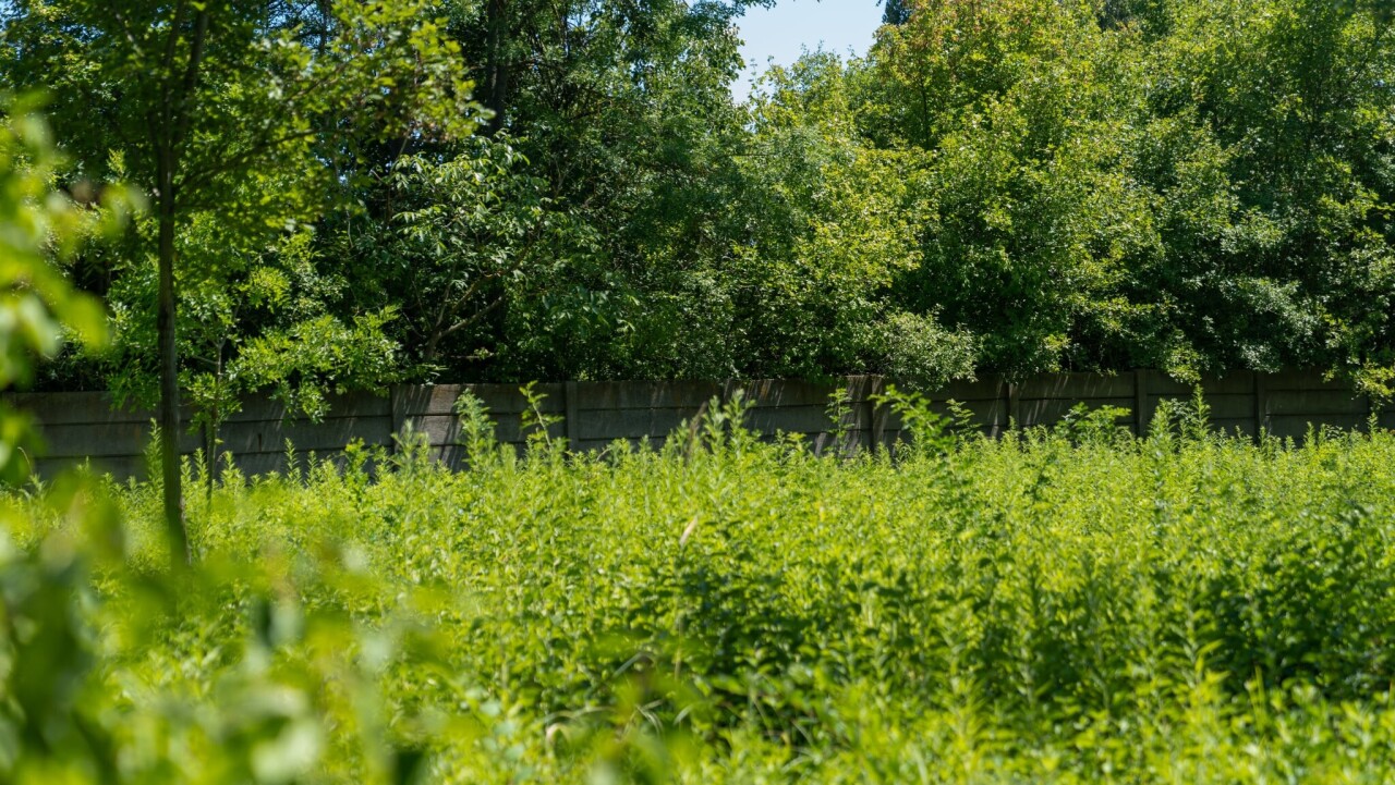 Messenger_creation_78A318A3-2829-4532-A2EE-070FF79C54C5