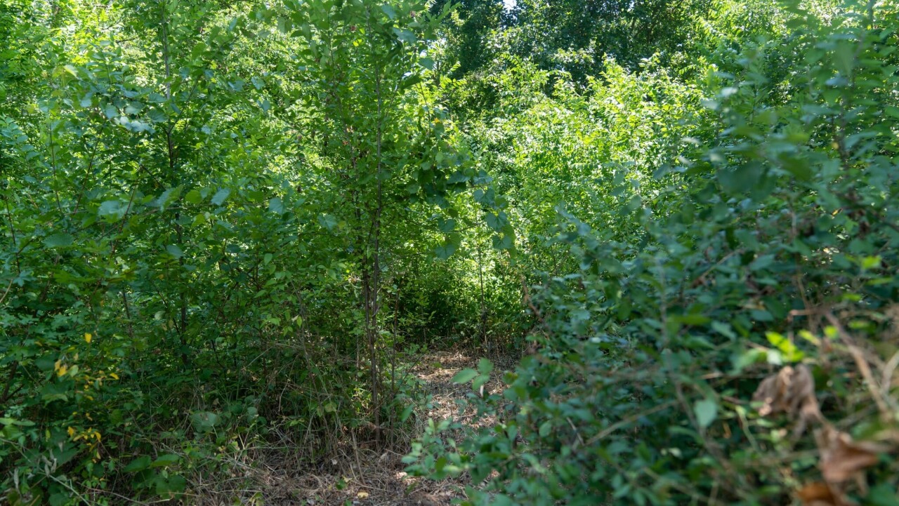 Messenger_creation_FF83C913-9DAC-4CD0-8C51-4CD4938222AE