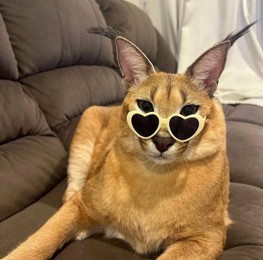 photo_2022-03-29_11-45-04