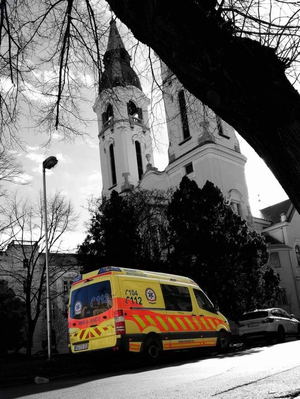 FB_IMG_1656574844909