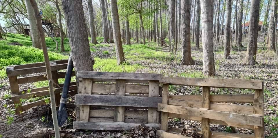 received_3172186986400069