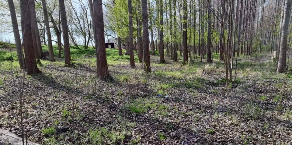 received_4967283293367625