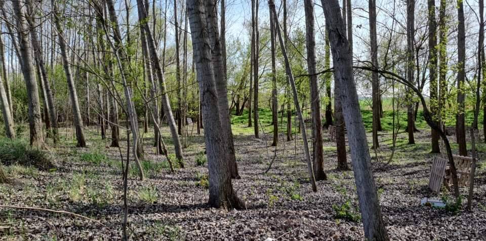 received_406605081305232