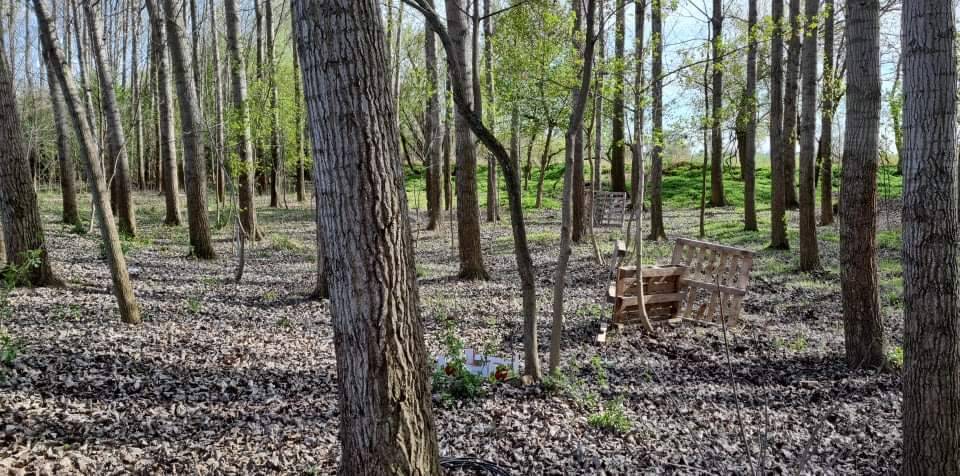 received_938904740129953