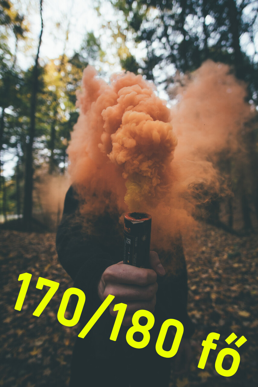 pexels-zachary-debottis-3156514