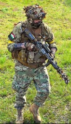 inbound359317560252854214