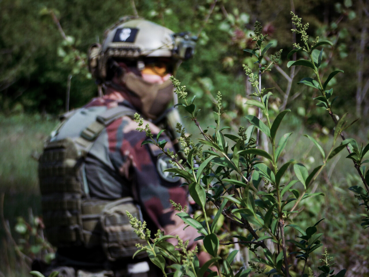 438162045_898866975586521_7142165176803167306_n-2