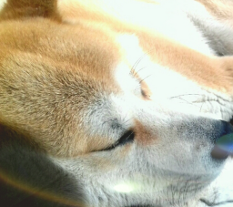 JPEG_20191031_110252