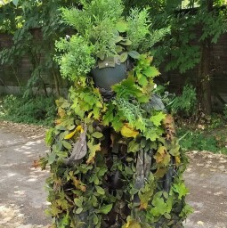 454238930_1519813125286696_209240419014123417_n