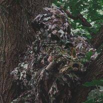 264169700_974792500058444_5176131626238803328_n