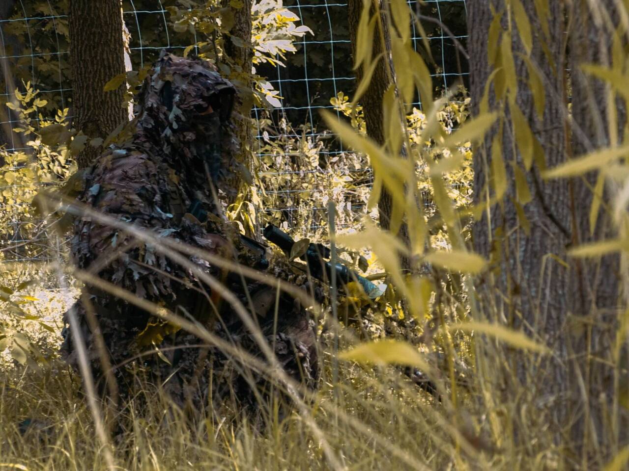 297396353_584877153307060_1889816412037271995_n