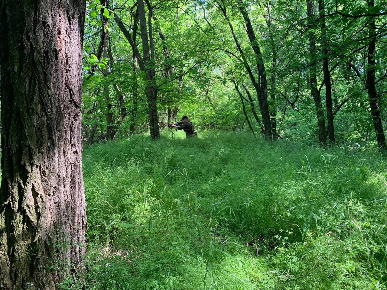 279463658_509980877524206_4096989054990093288_n