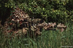 FB_IMG_1683835599388