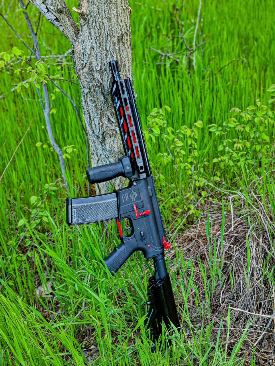 inbound1935252713046328550