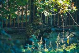 BB97E344-8C0D-4573-B5C1-9FE2ABA013CB