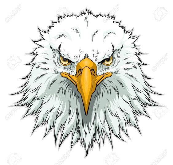 0f3da2ef11d5a7e4246fe24d8b866184