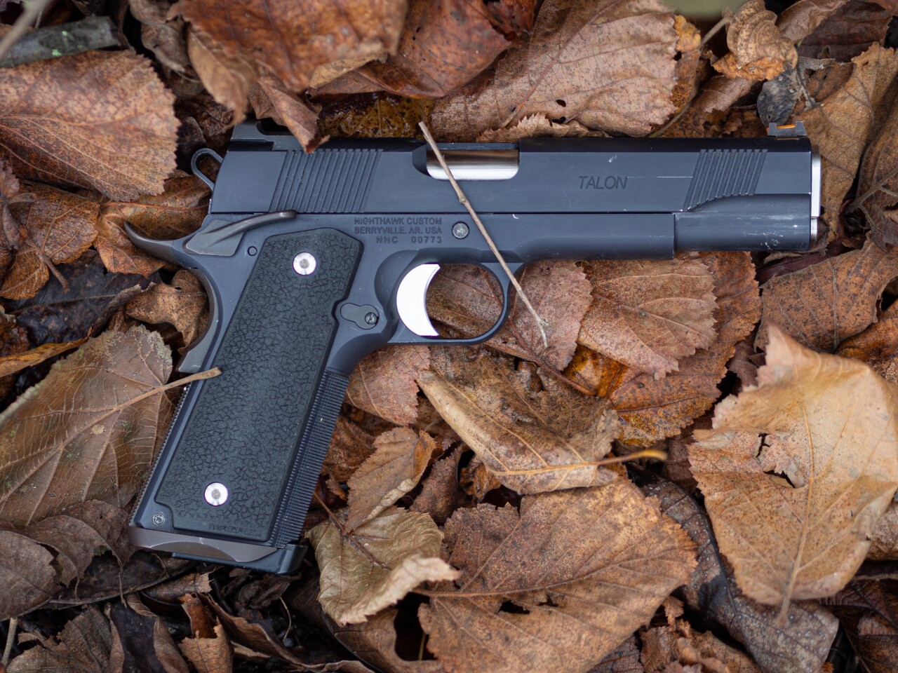 29C09889-F04D-4108-835E-FA7EF16FD5A8 - OLYMPUS DIGITAL CAMERA