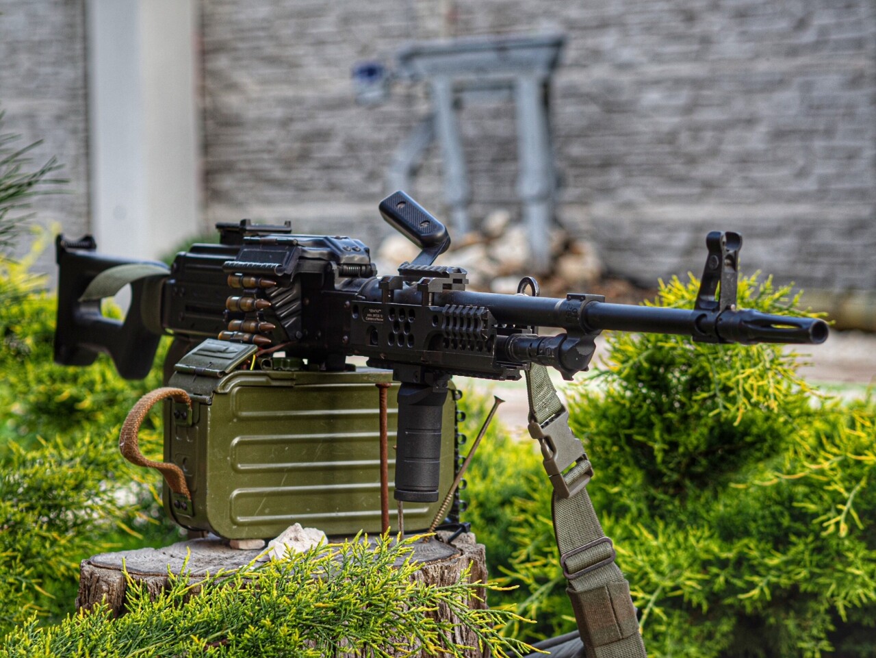 image0 (4) - OLYMPUS DIGITAL CAMERA