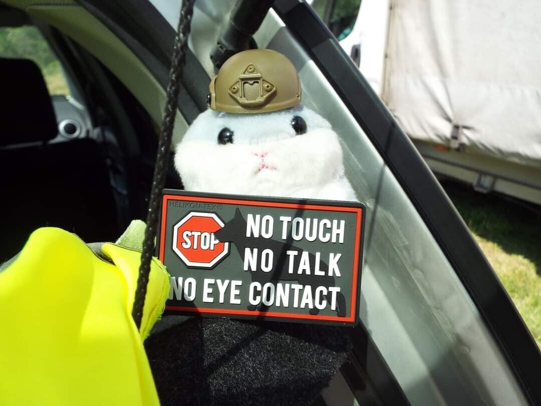 FB_IMG_1685604920314